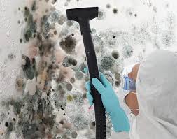 Best Basement Mold Removal  in Port Washington, WI